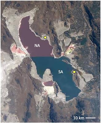 Fungi of Great Salt Lake, Utah, USA: a spatial survey